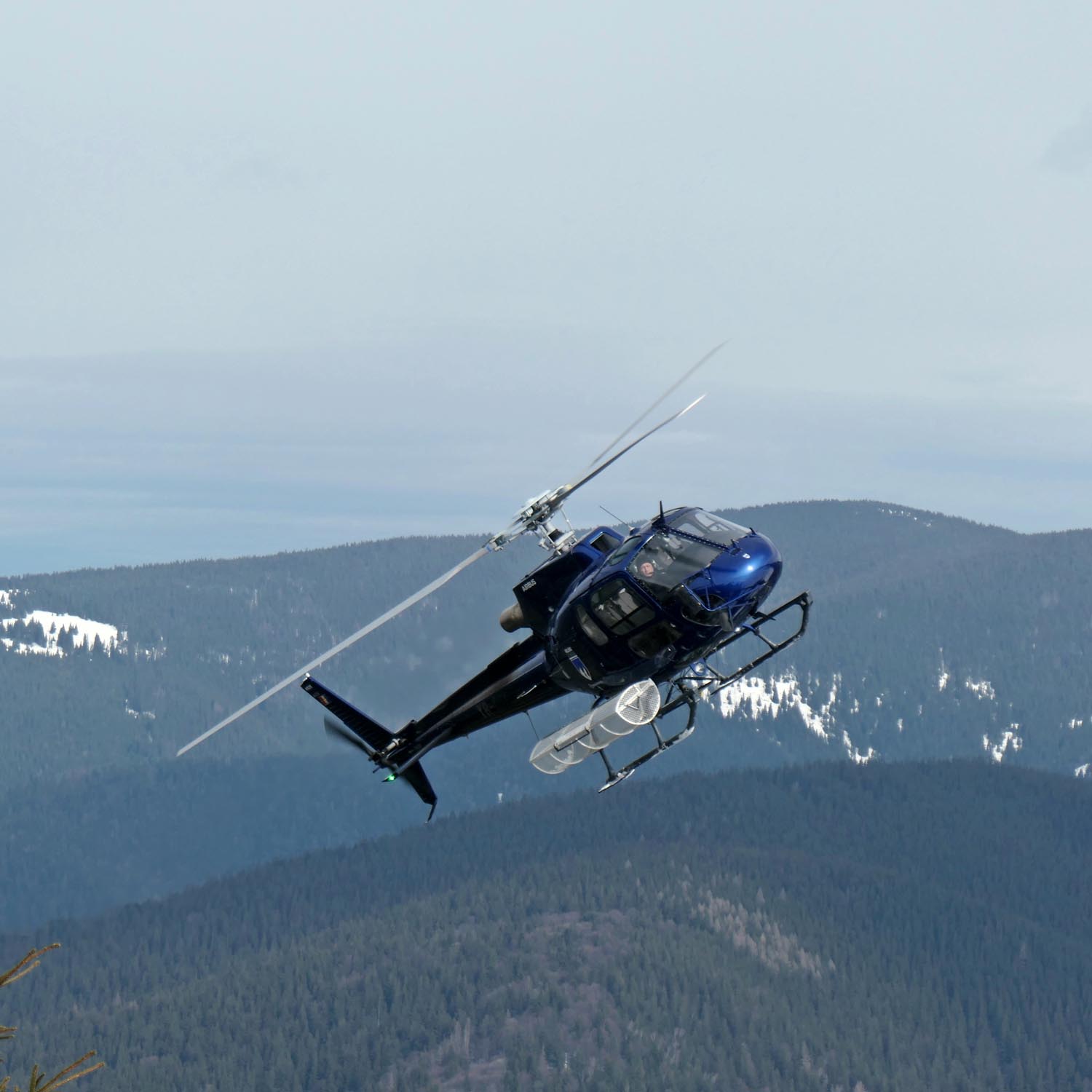 Heliskiing in den Karparten in Muntale Mic