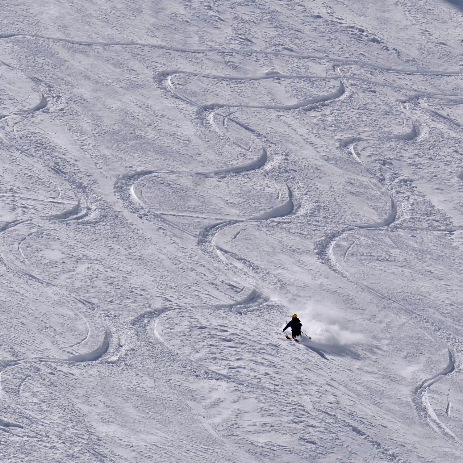 Im Frühjahr gibt es in Alagna Powder und Firn Freeride Camp Alagna - Powder & Firn